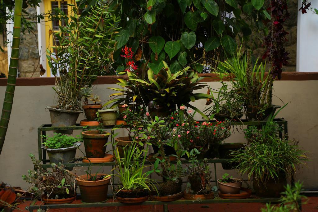 Pavithram Homestay Munnar Kültér fotó
